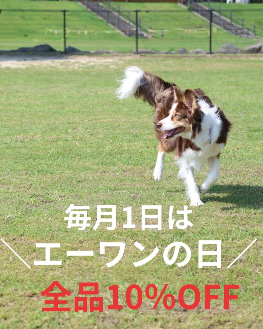 エーワンの日！