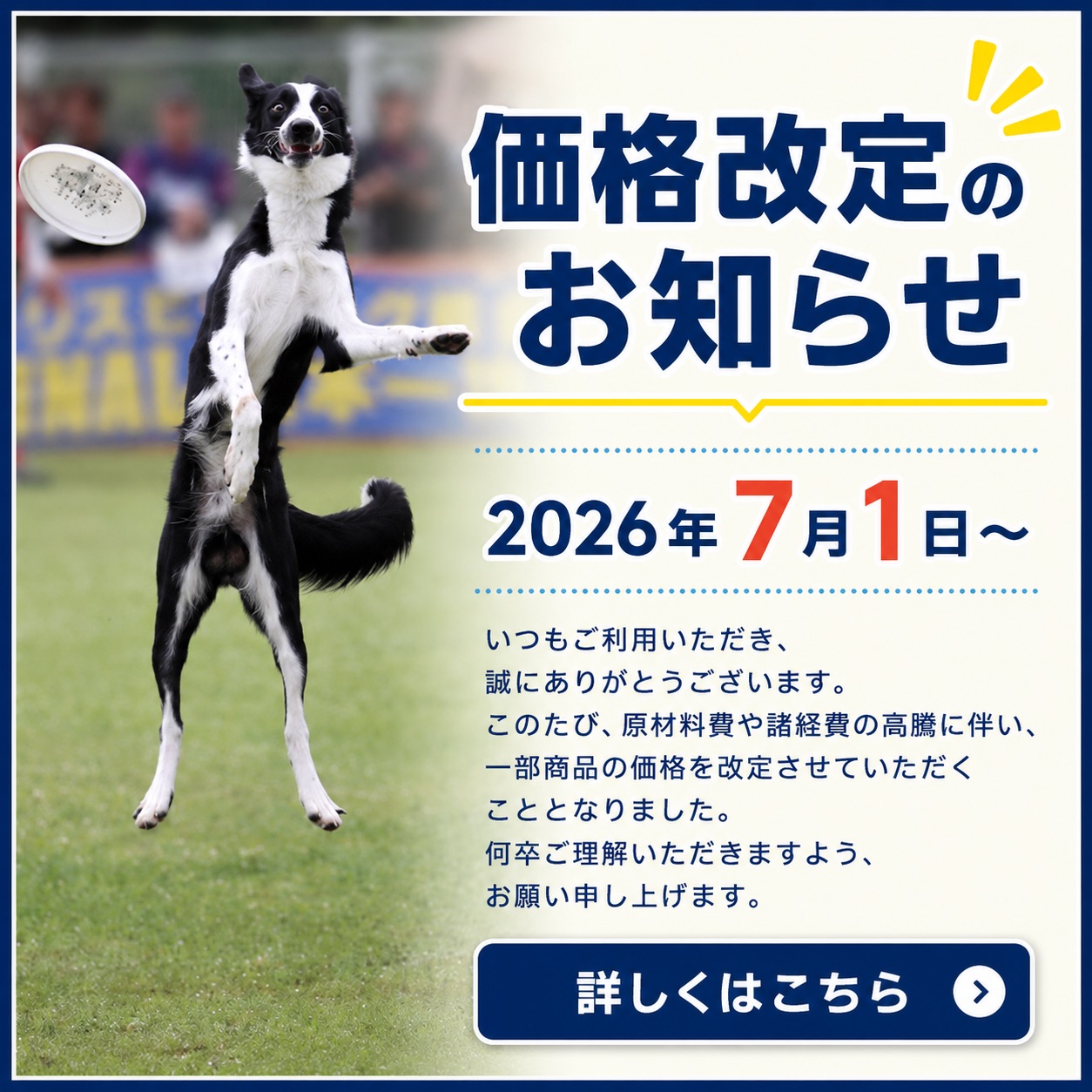 価格改定