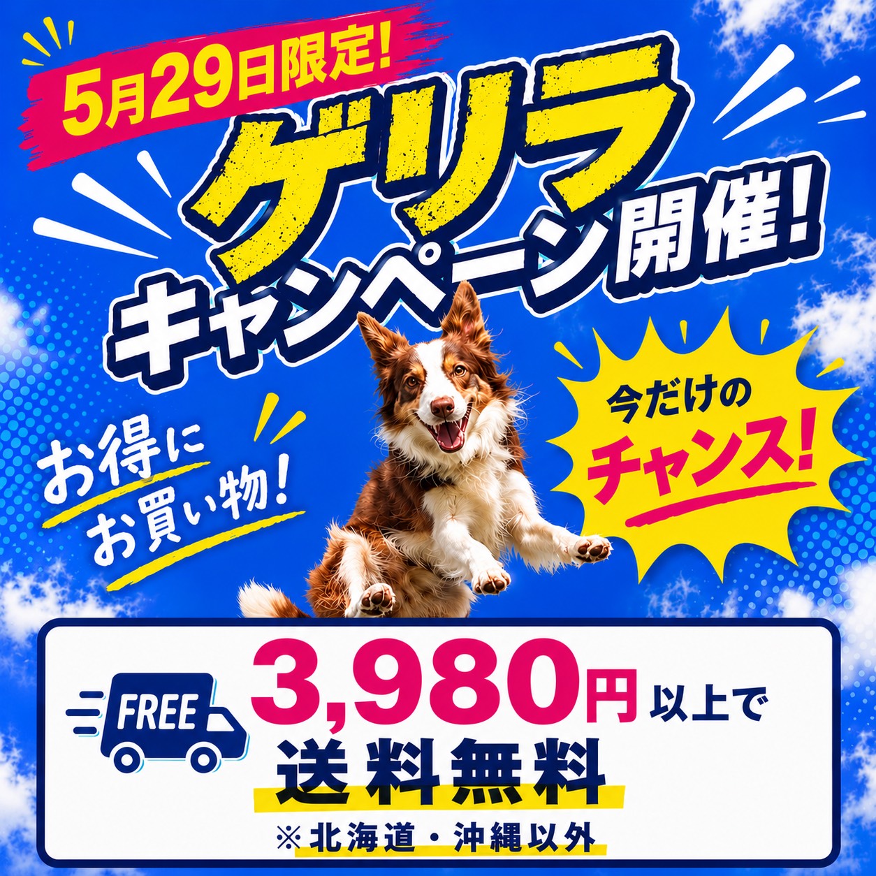 送料無料