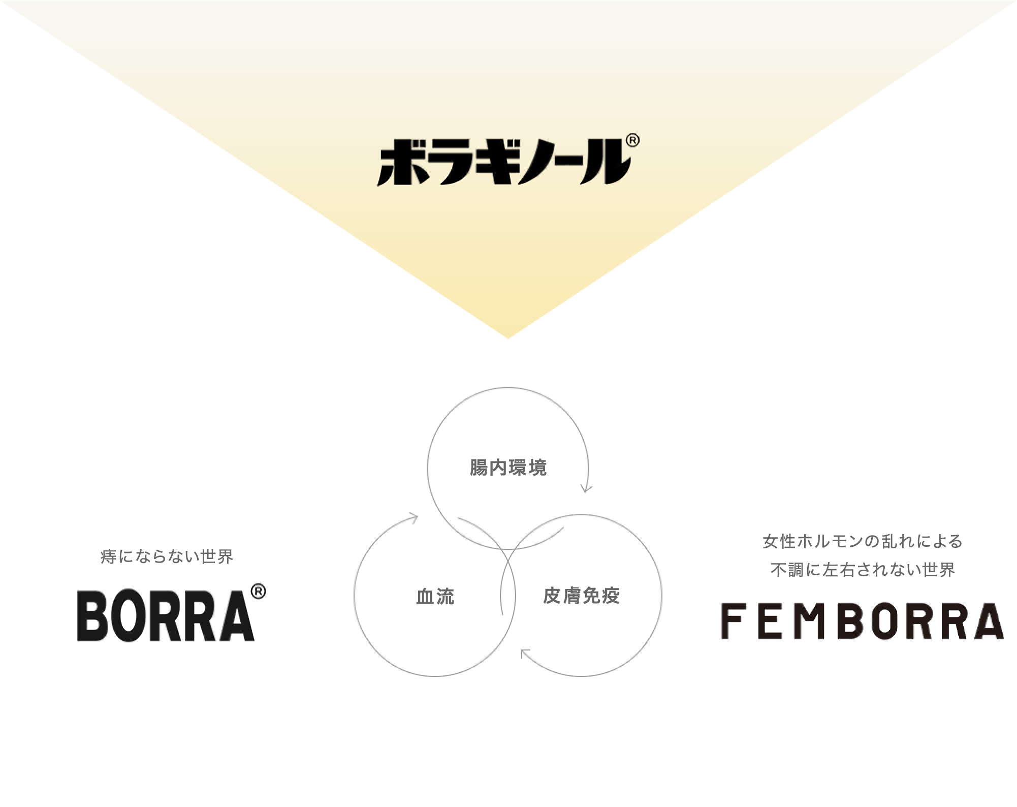 ボラギノール/BORRA/FEMBORRAの相関図