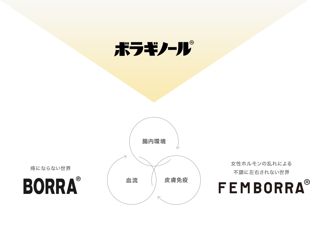 ボラギノール/BORRA/FEMBORRAの相関図