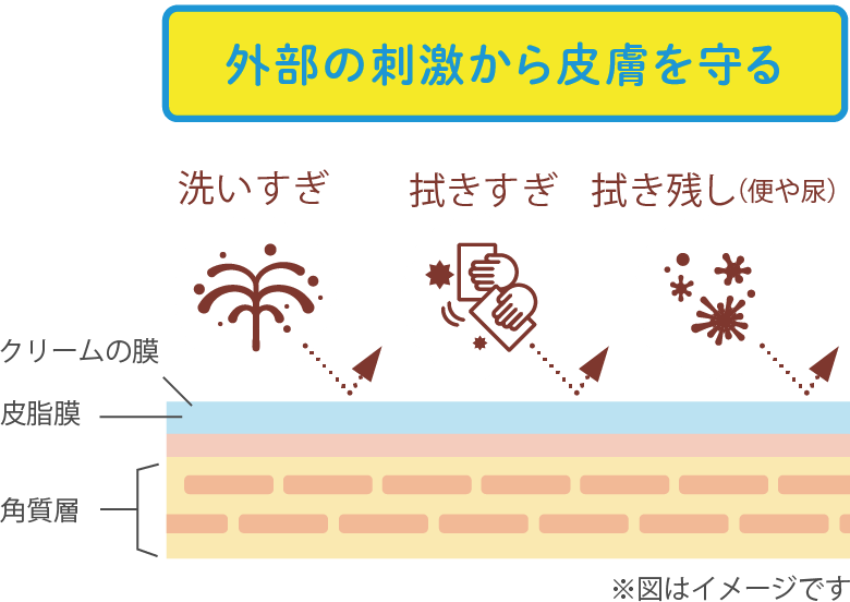 角質層表面の水分を保持し、、皮潤いをキープ