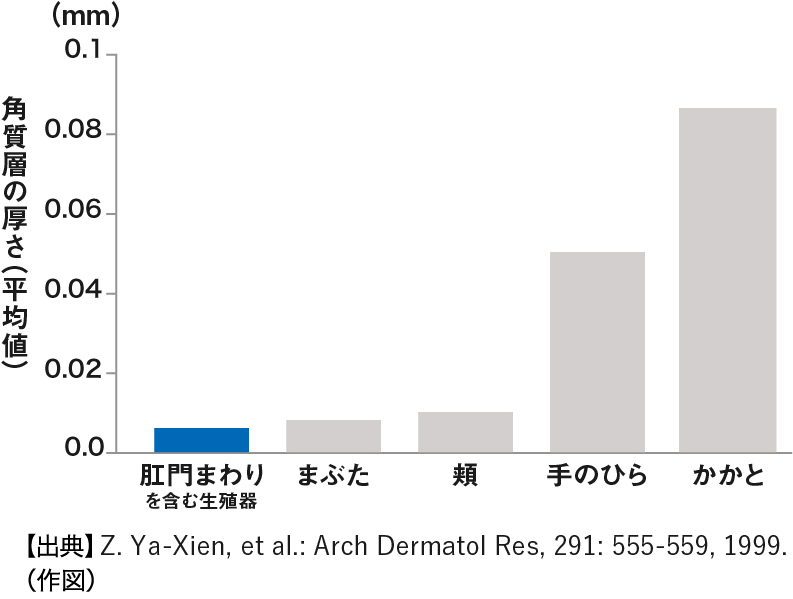 Z. Ya-Xien, et al.: Arch Dermatol Res, 291: 555-559, 1999.より改変