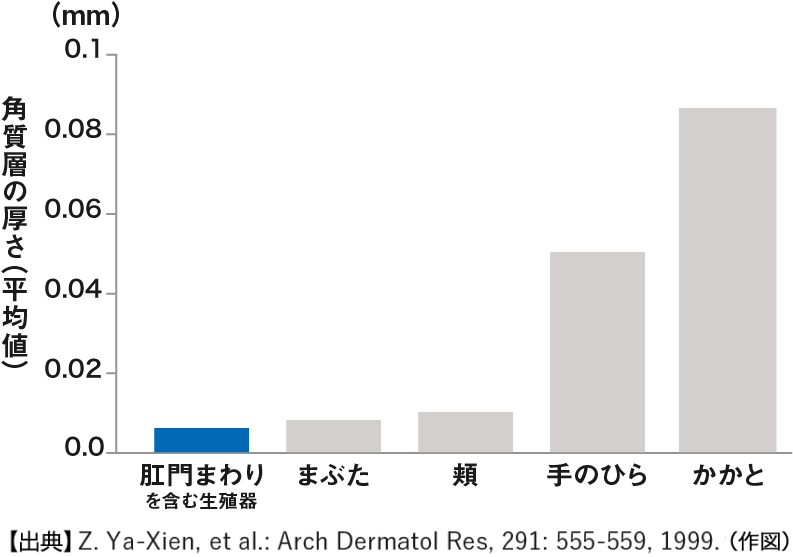 Z. Ya-Xien, et al.: Arch Dermatol Res, 291: 555-559, 1999.より改変