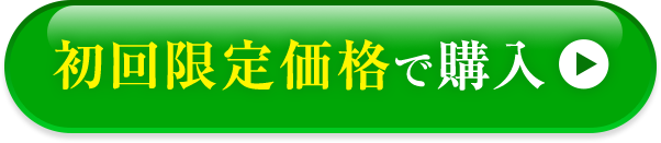 初回半額価格で購入