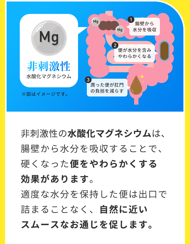 非刺激性の水酸化マグネシウムは、腸壁から水分を吸収することで、硬くなった便をやわらかくする効果があります。適度な水分を保持した便は出口で詰まることなく、自然に近いスムースなお通じを促します。