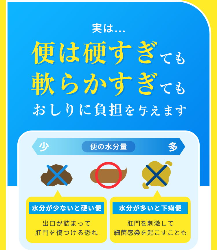 実は…便は硬すぎても軟らかすぎてもおしりに負担を与えます
