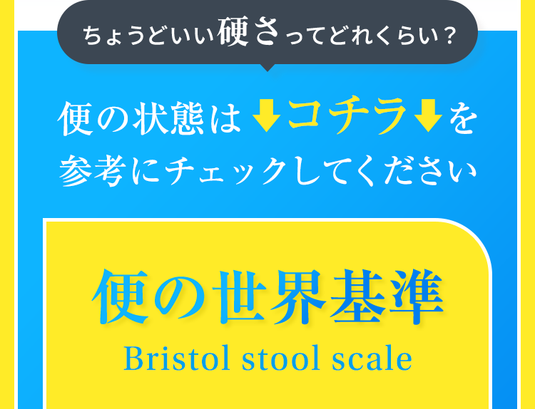 ちょうどいい硬さってどれくらい？ 便の状態はコチラを参考にチェックしてください 【便の世界基準】Bristol stool scale
