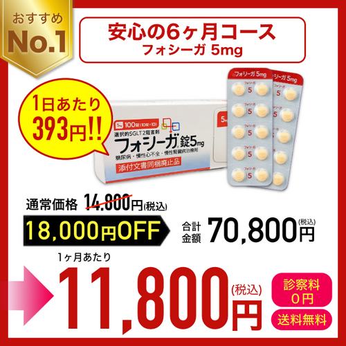 フォシーガ5mg定期購入6ヶ月毎　70,800円(税込)