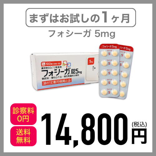 フォシーガ5mg 定期1ヶ月毎 14800円(税込)