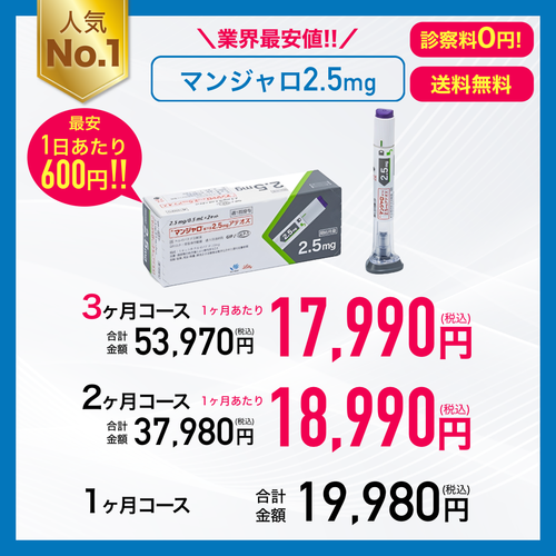 マンジャロ2.5mg 定期1ヶ月毎(B) 19980円(税込)