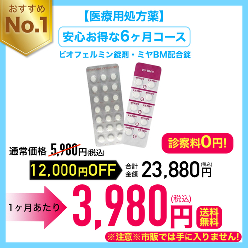ビオフェルミン+ミヤBM 定期6ヶ月毎 23880円(税込)