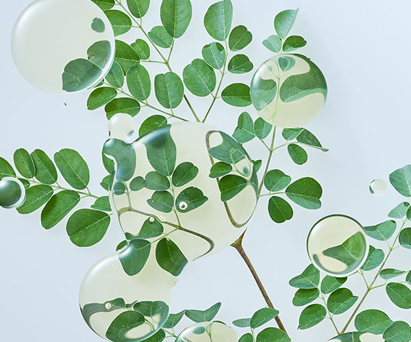 MORINGA OIL