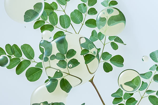 MORINGA OIL