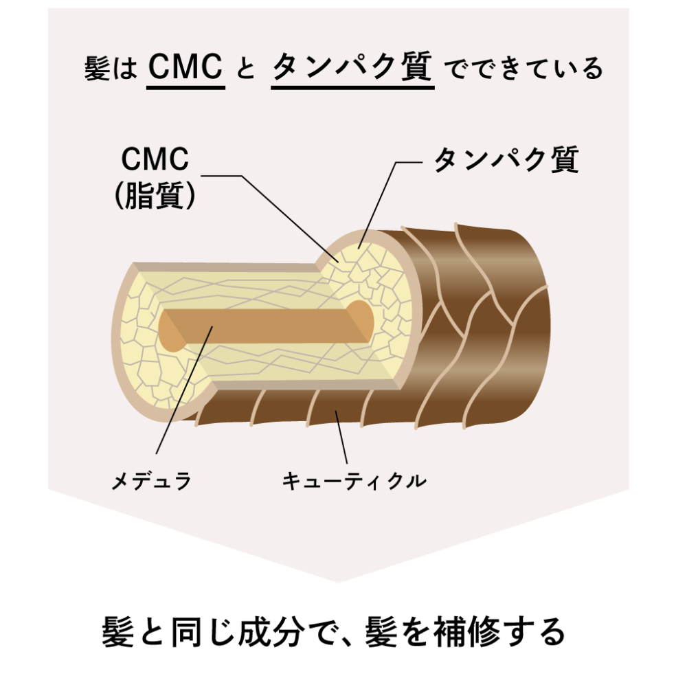 ［おまとめ定期］ニュートラルトリートメント 3回分