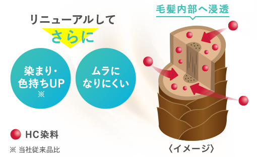 リニューアルしてさらに 染まり色持ちUP、ムラになりにくい