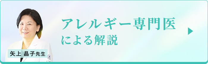 アレルギー専門医による解説