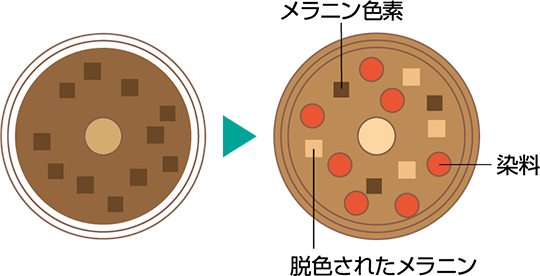 イメージ図