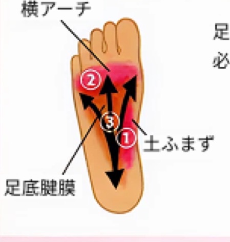 足の裏に塗る位置