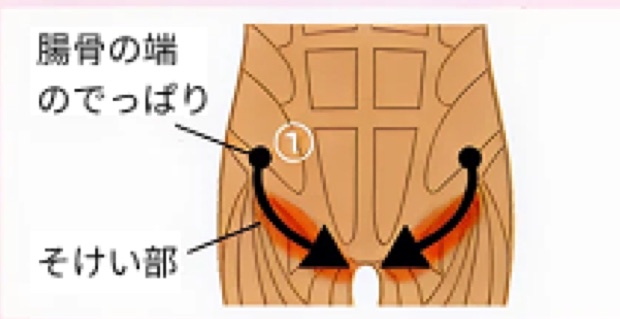 股関節とひざに塗る位置