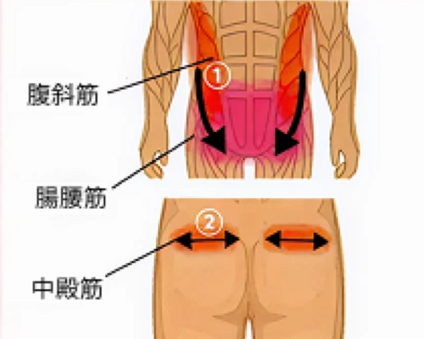 腰・脇腹に塗る位置