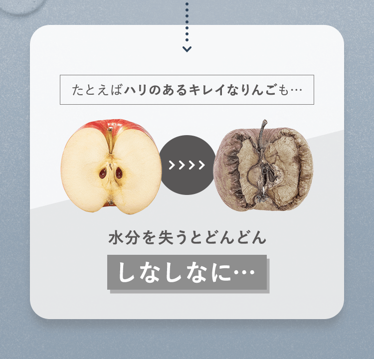 例えばハリのあるキレイなりんごも…水分とビタミンを失うとどんどんしなしなに