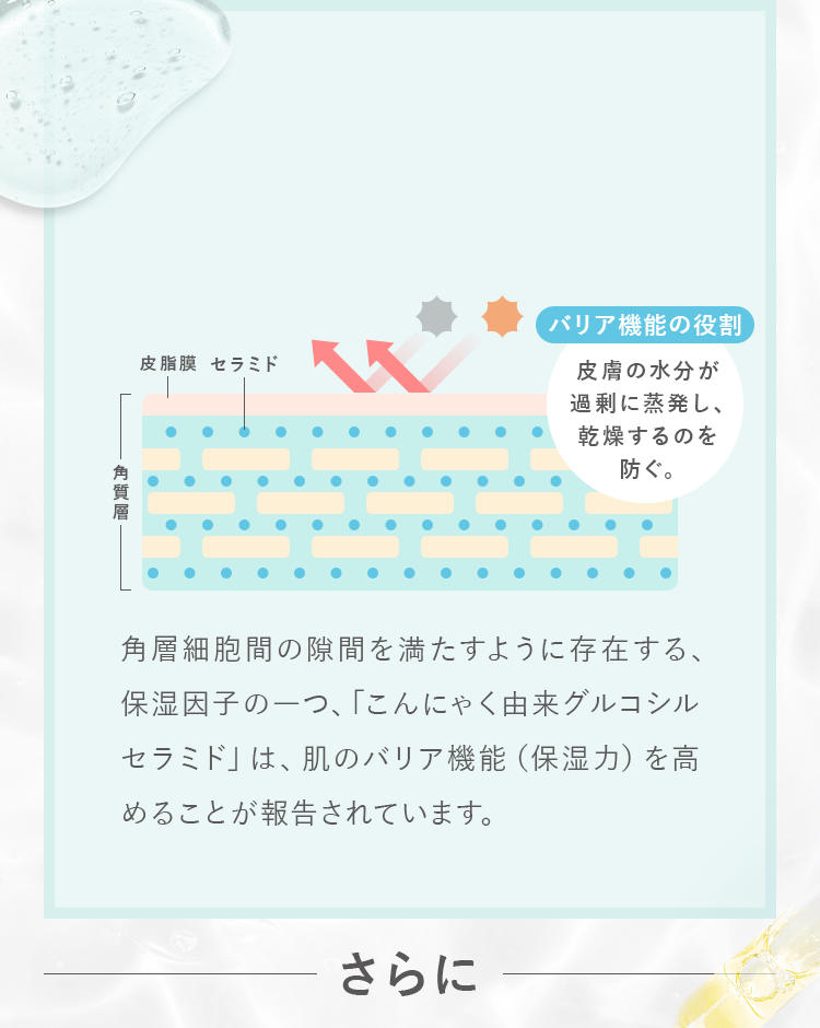 重要成分01