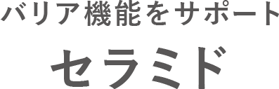 潤いを守り抜くセラミド