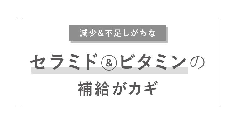 セラミド＆ビタミンの補給が美しさのカギ