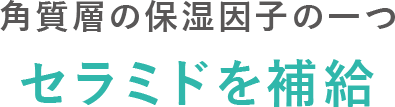 セラミドを補給