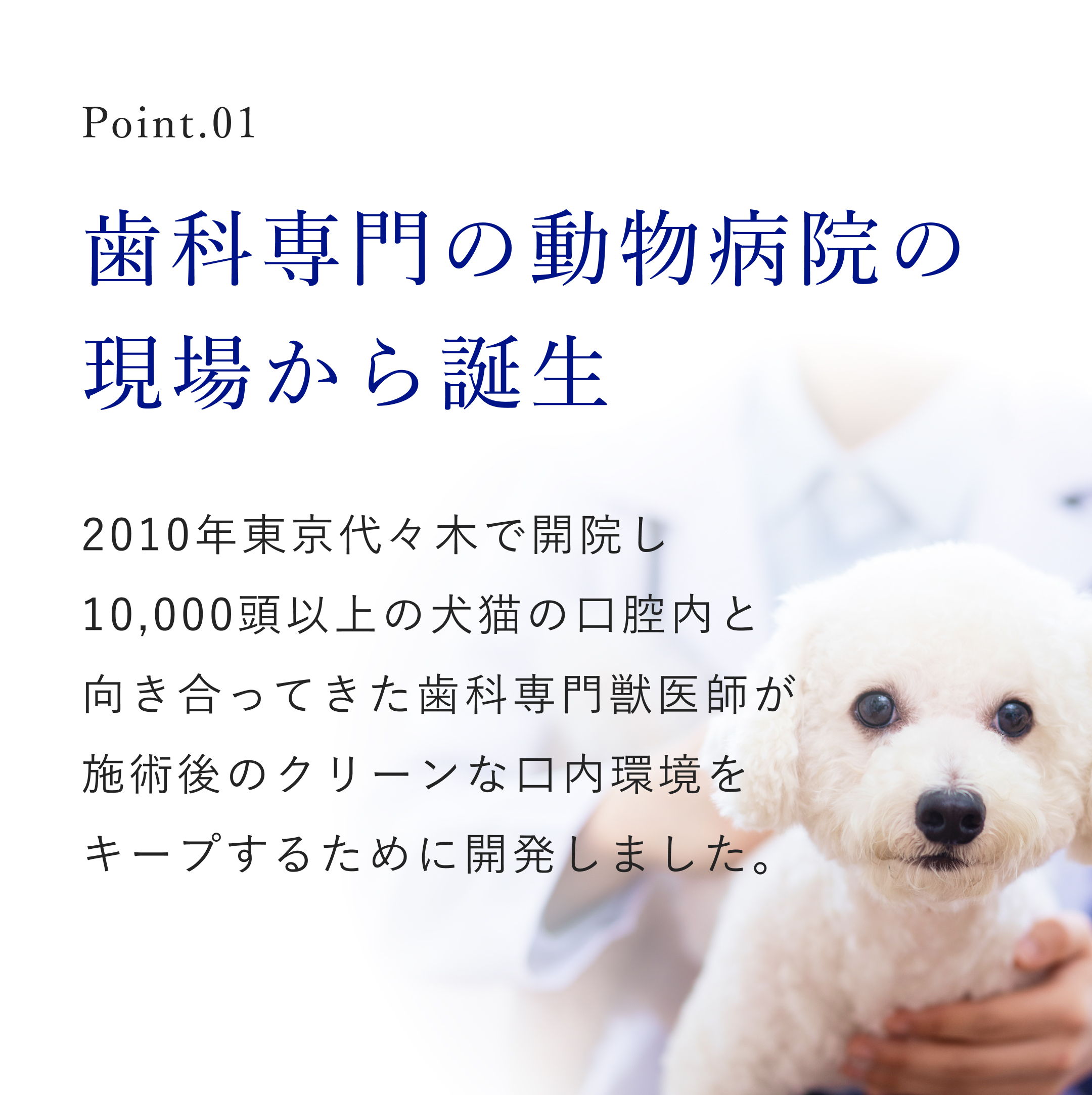 Dr.YUJIRO デンタルパウダー（朝用）【定期購入】 セット内容(個): 1個【10％お得】