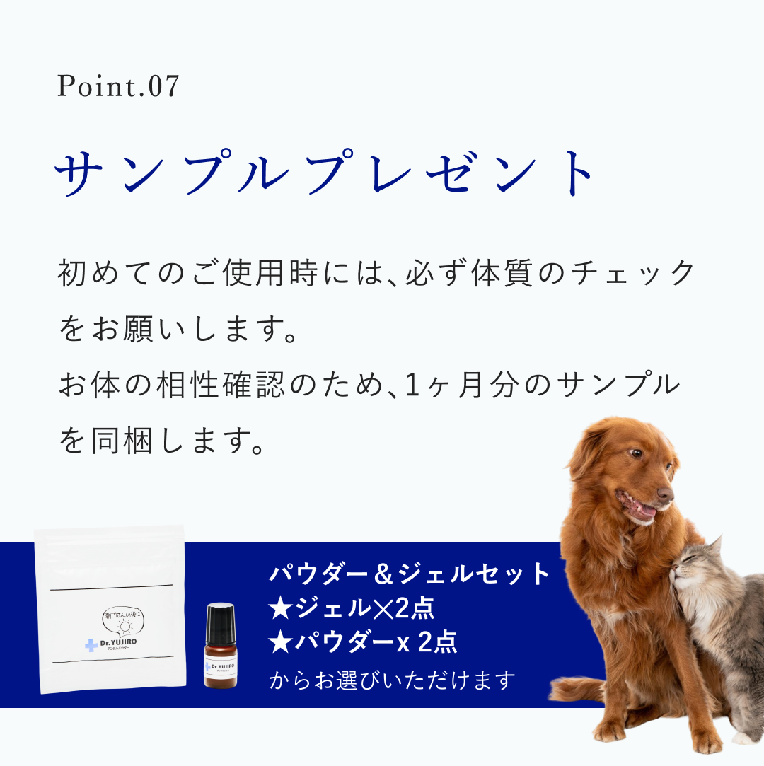 Dr.YUJIRO デンタルジェル（夜用） セット内容(本): 1本