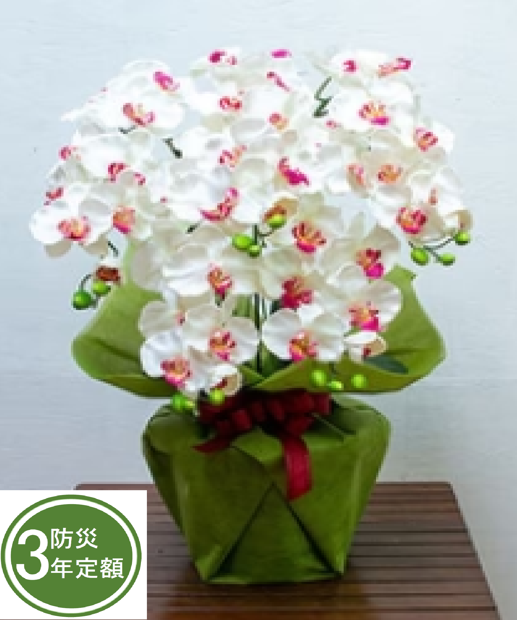 タスカルフラワー　TA-027