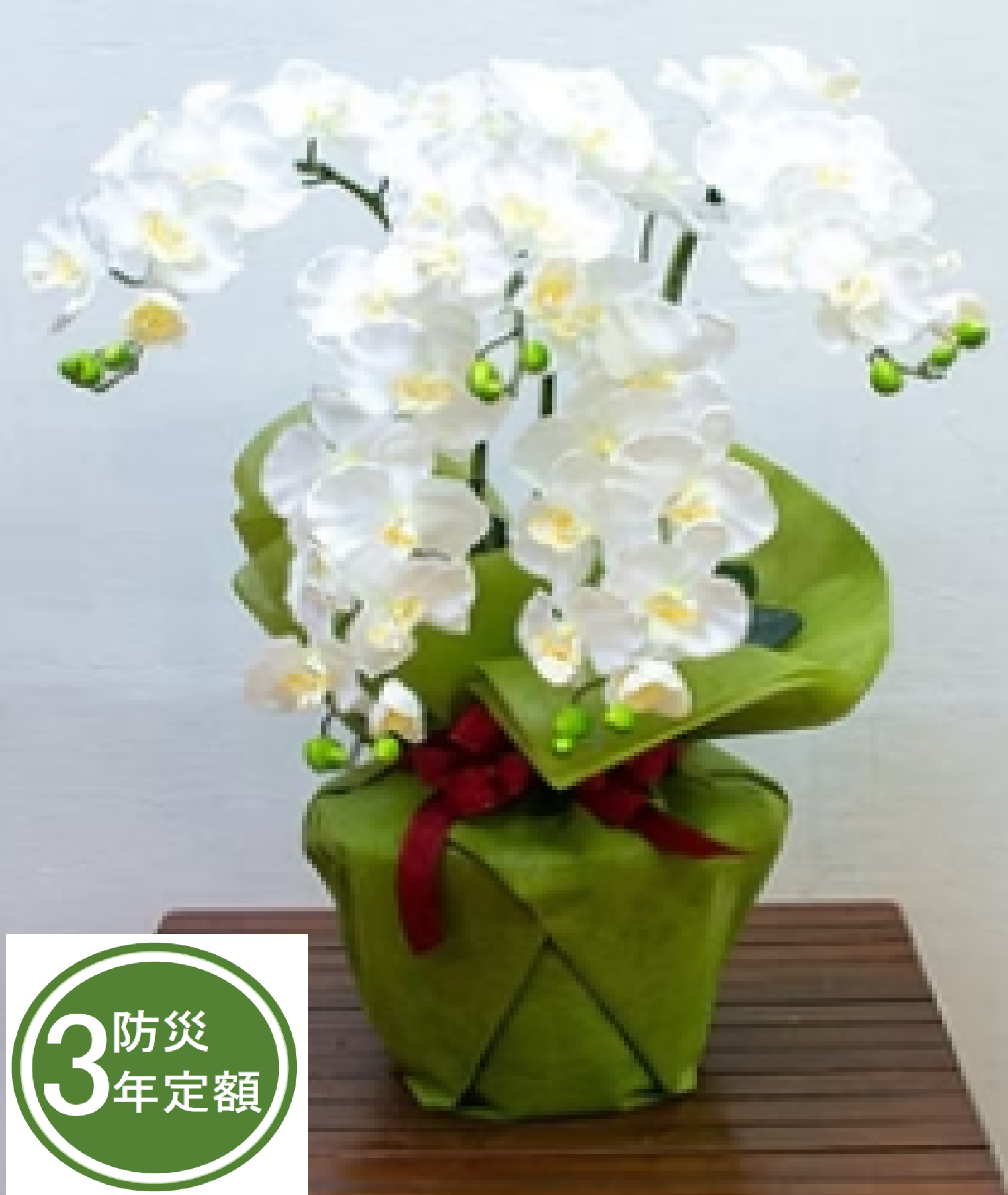 タスカルフラワー　TA-026