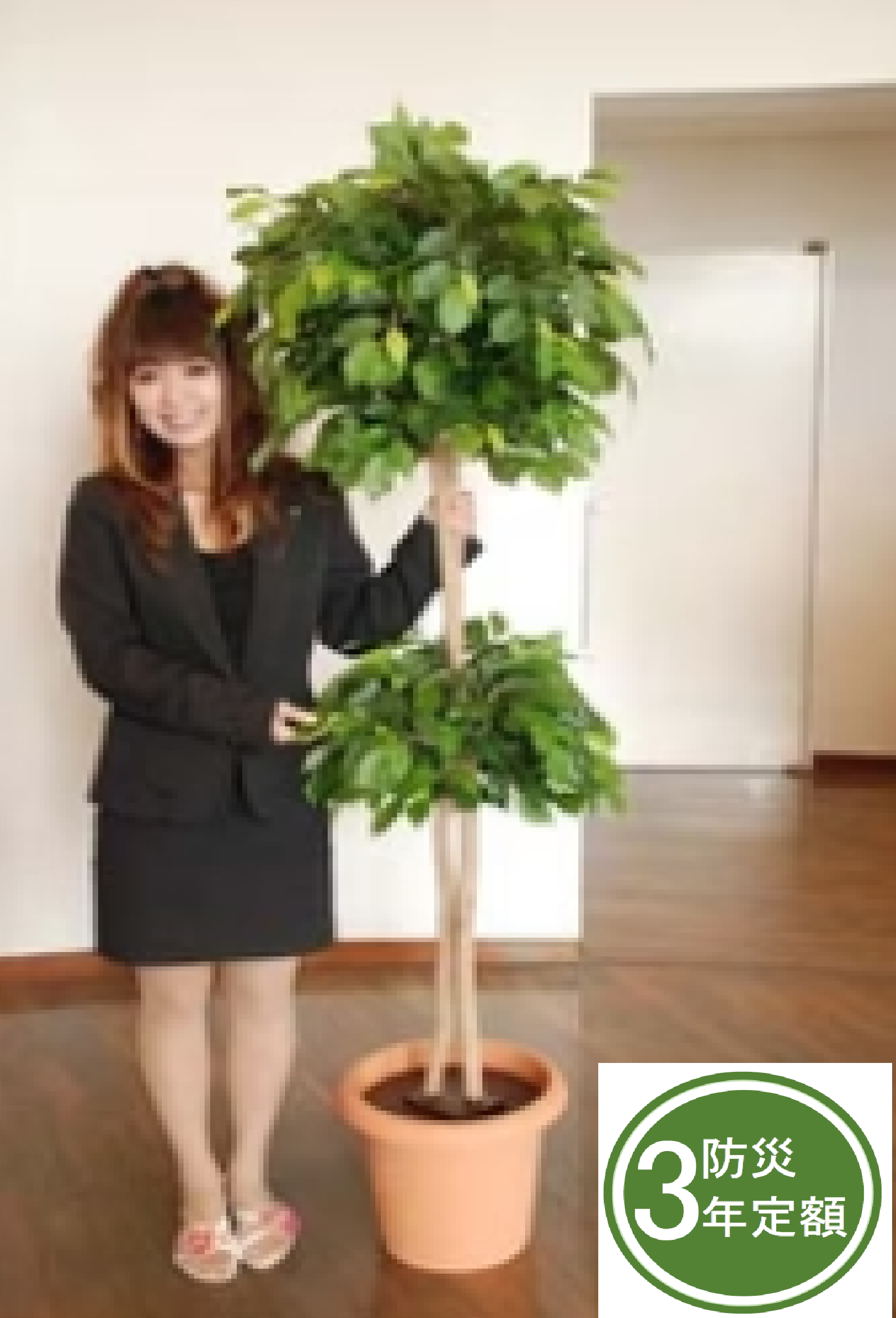 タスカルグリーン　TG-018