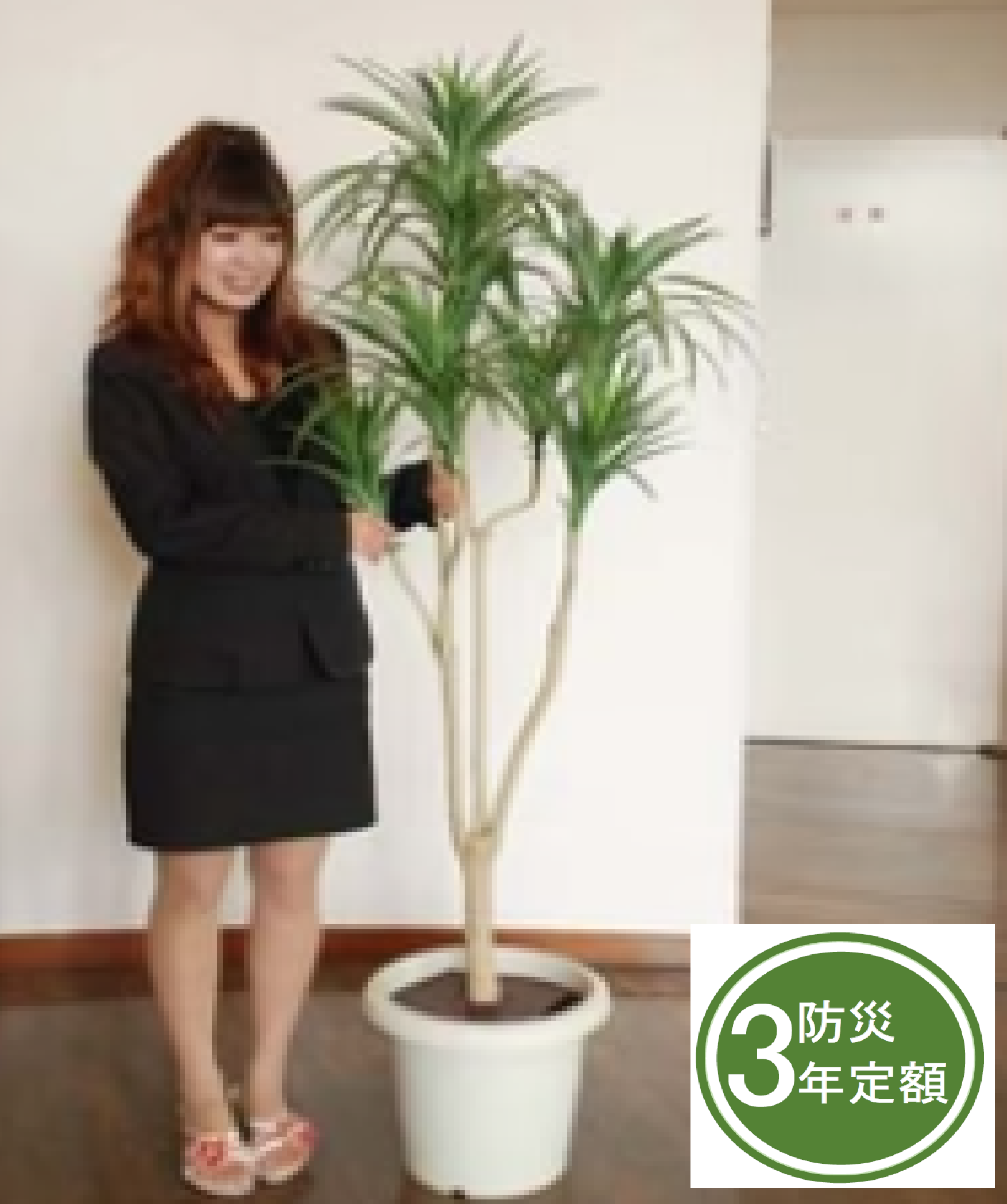 タスカルグリーン　TG-019