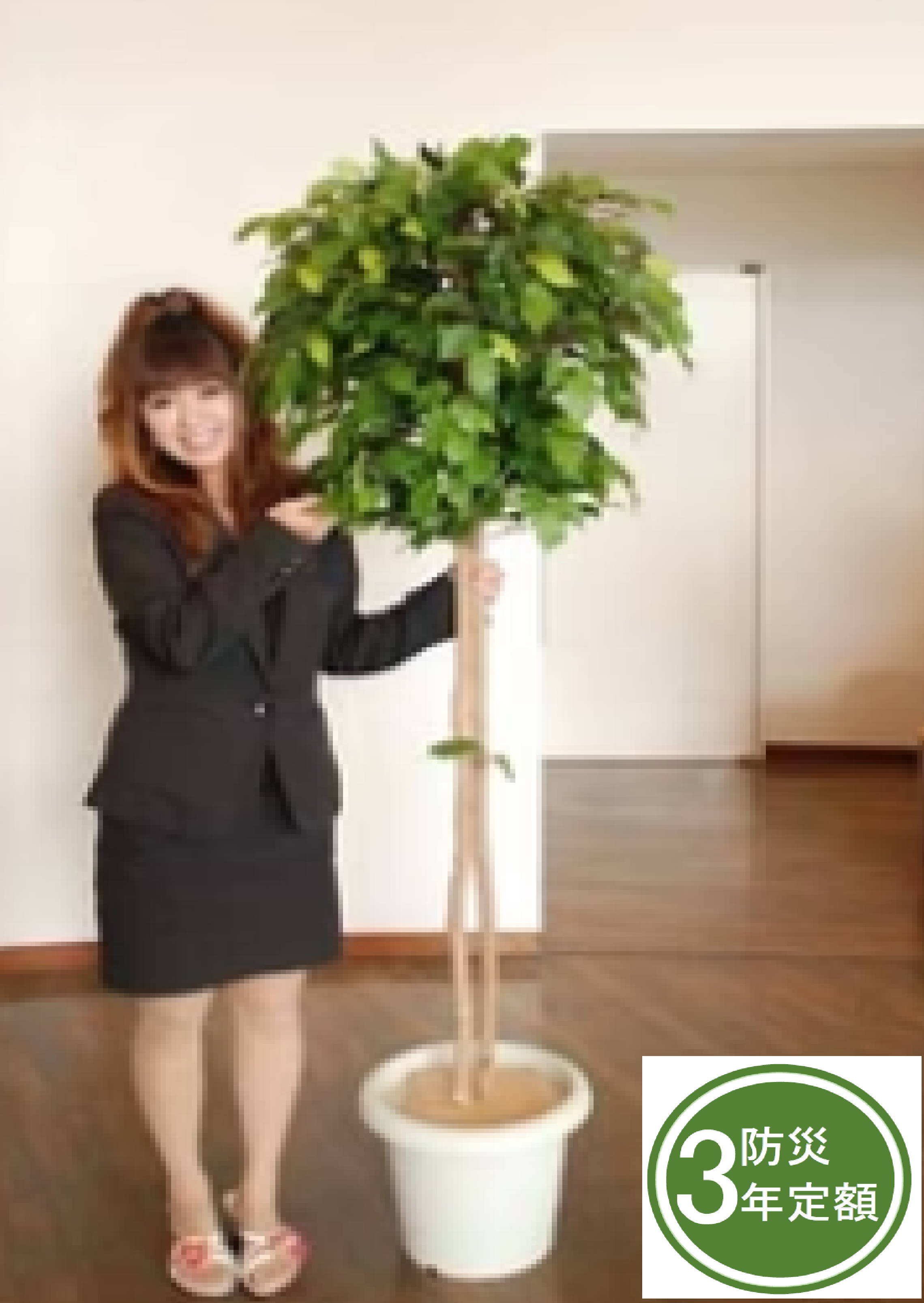 タスカルグリーン　TG-017