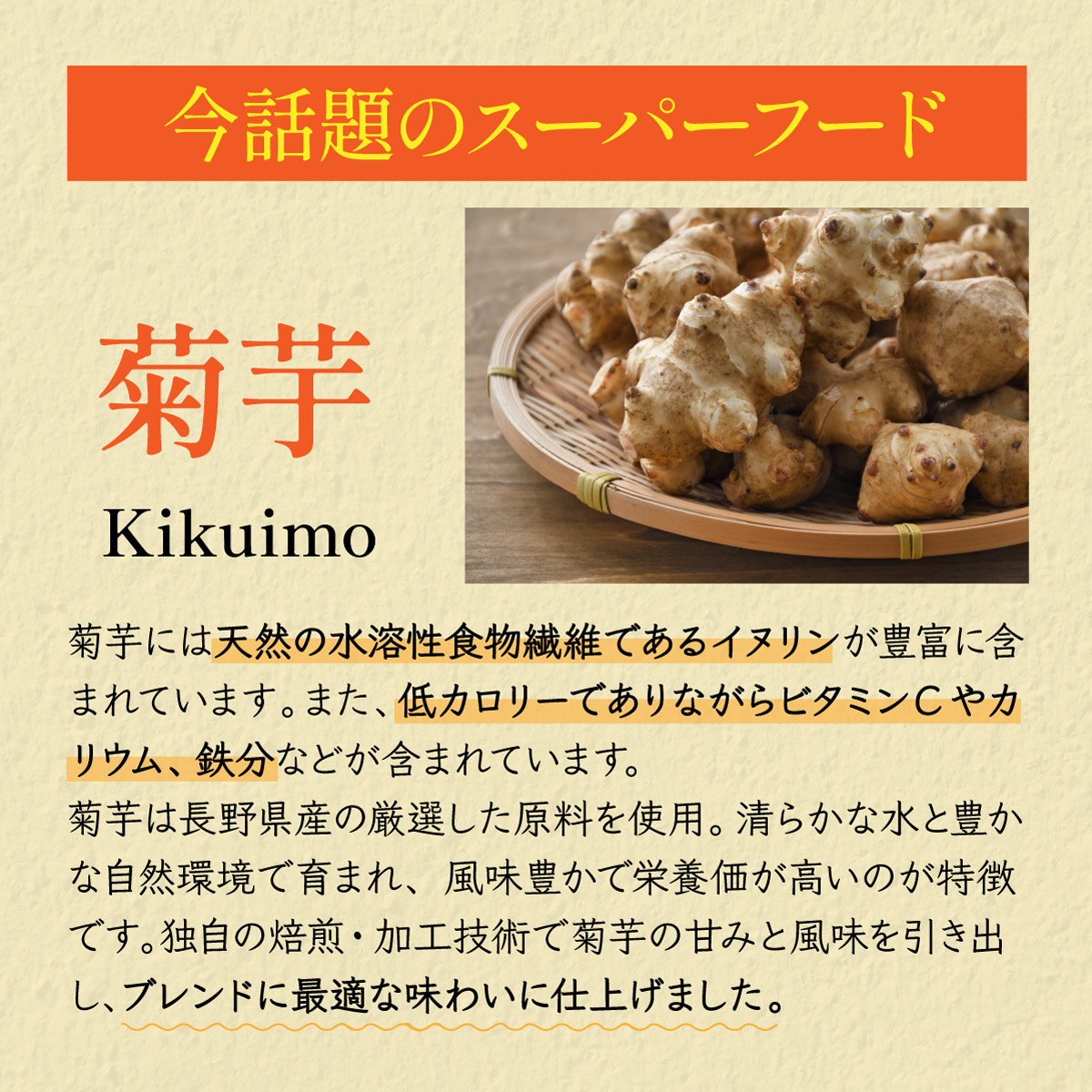 国産 菊芋ごぼう茶 ティーバッグ (2g×100包)