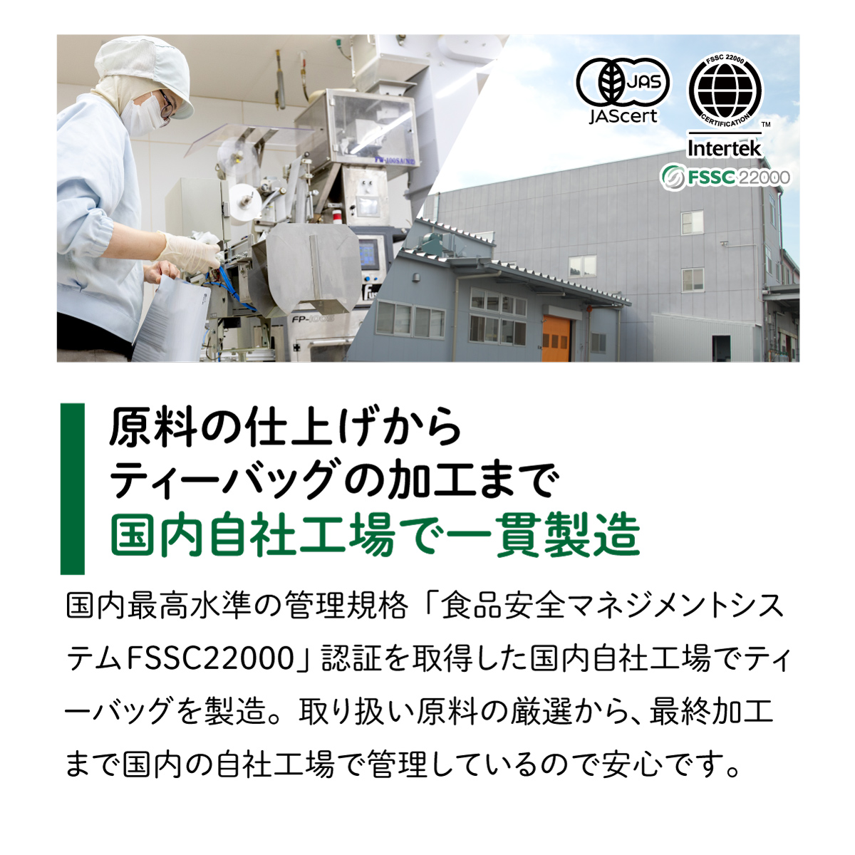 静岡県産 べにふうき ティーバッグ (2.5g×100包)
