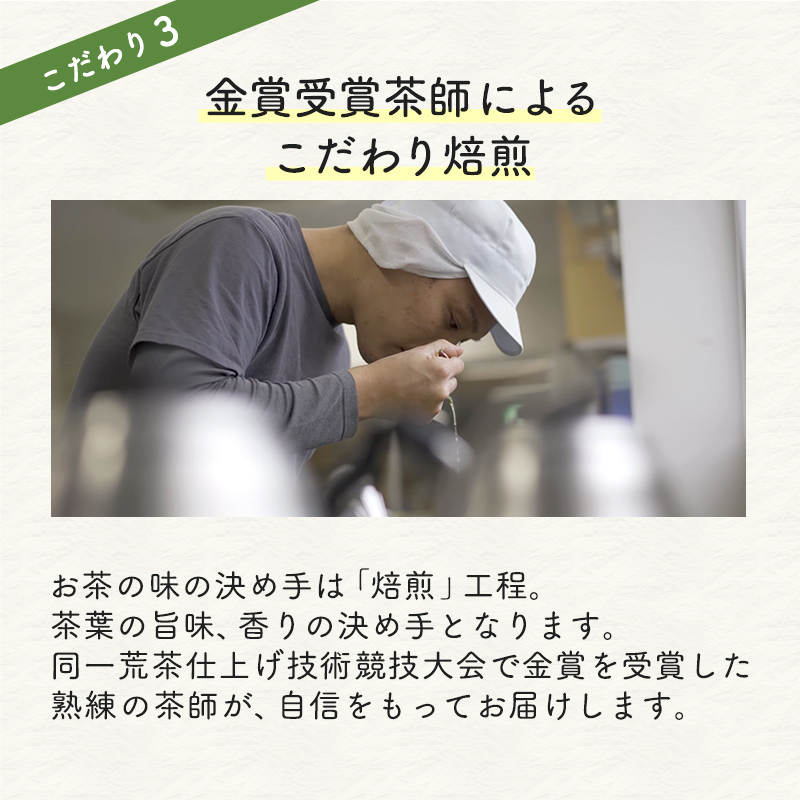 【定期便】お徳用 抹茶入り深蒸し茶 ティーバッグ  (2.5g×100包)