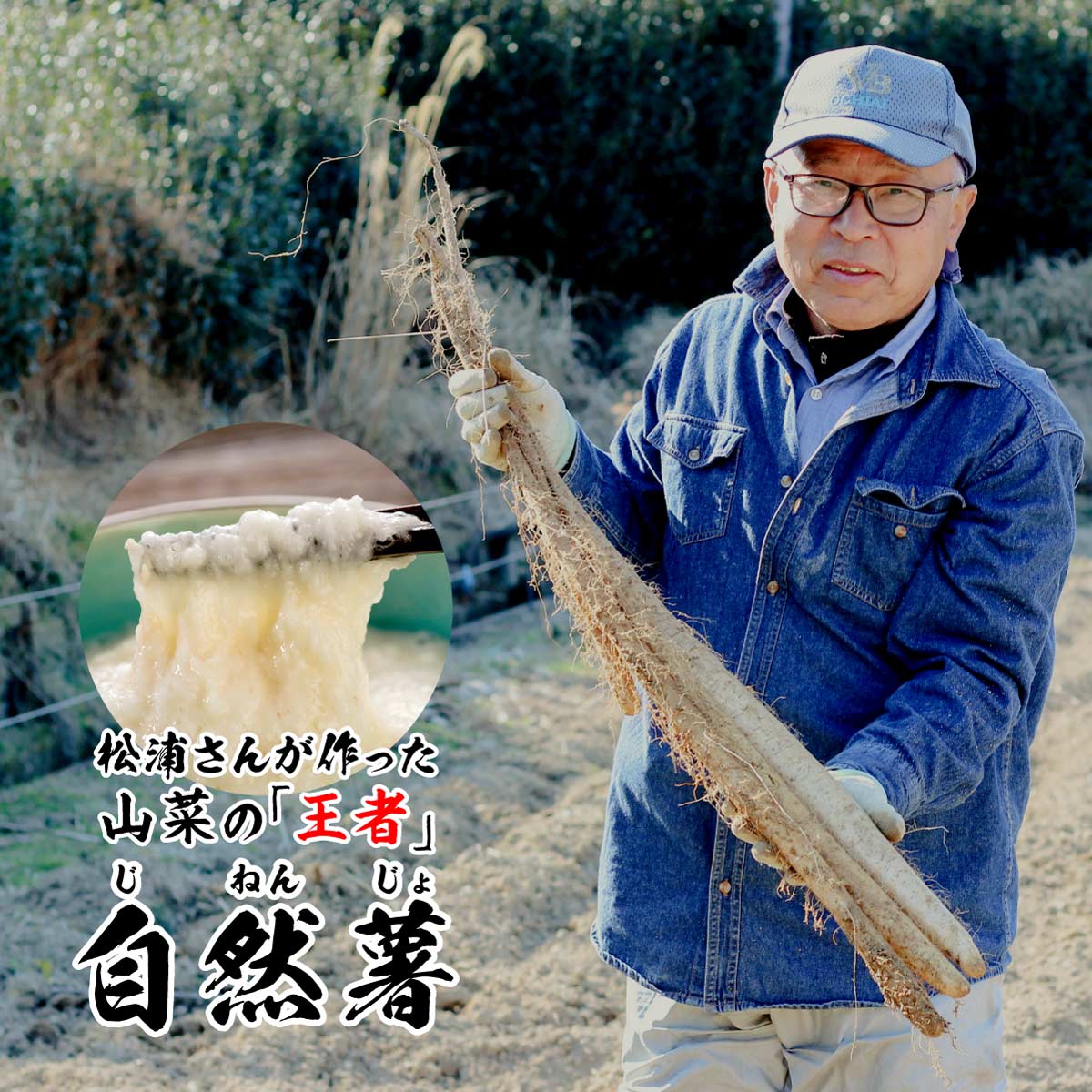 【ご予約承り中】自然薯 (約1kg)