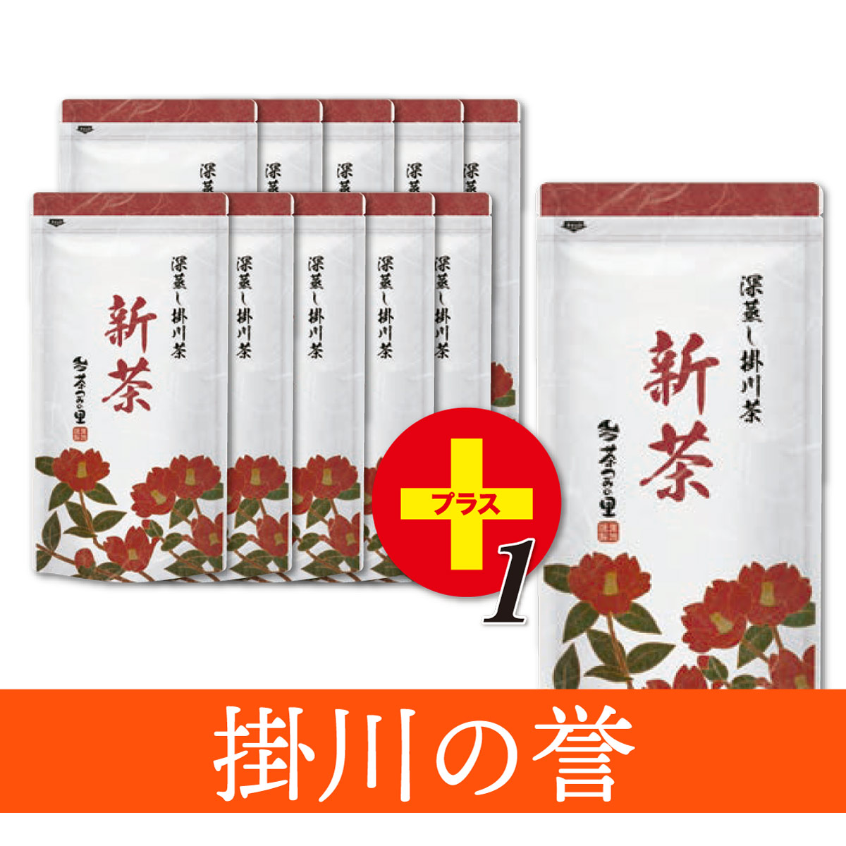 【新茶限定】掛川の誉 11本セット【1本サービス】