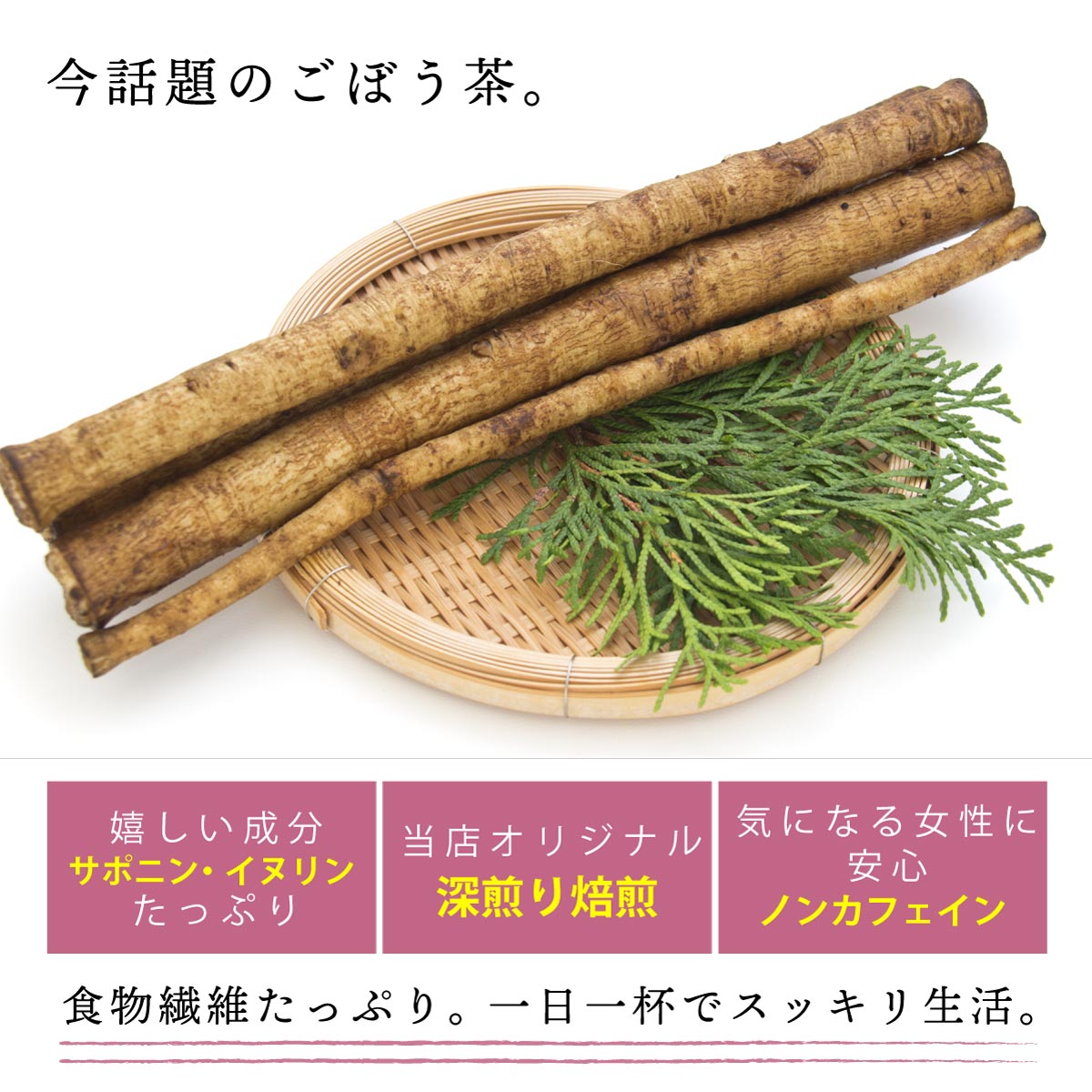 【定期便】国産 ごぼう茶 ティーバッグ (2g×50包)