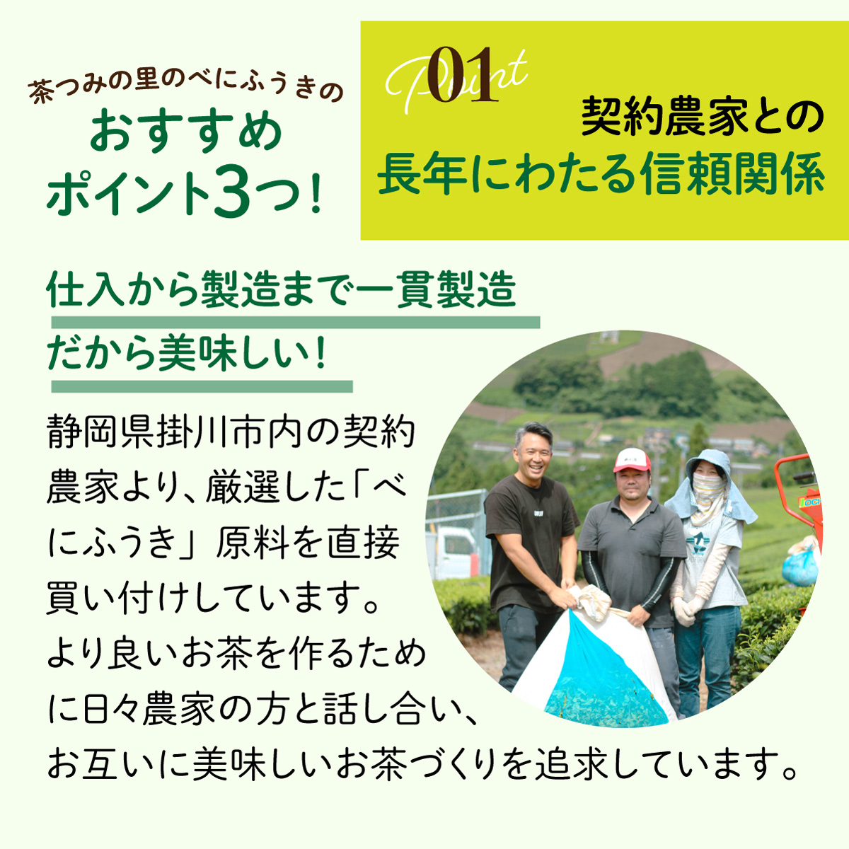 【定期便】静岡県産 べにふうき ティーバッグ (2.5g×100包)