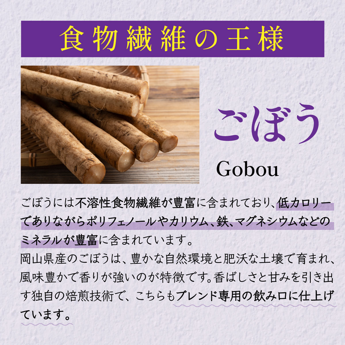 【定期便】国産 菊芋ごぼう茶 ティーバッグ (2g×100包)