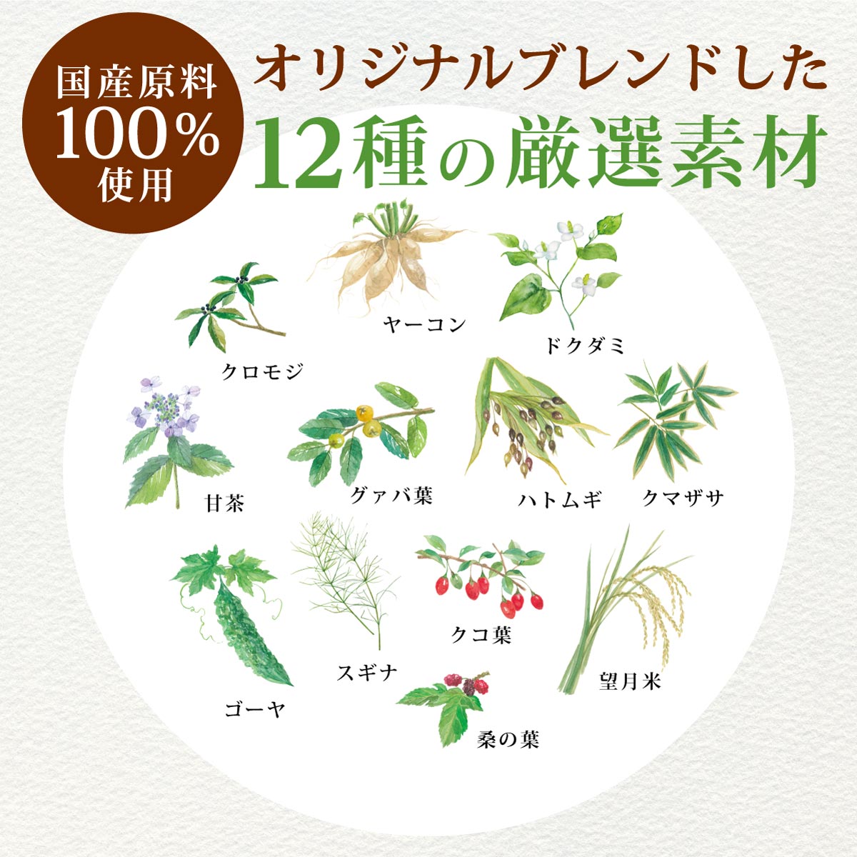 国産 和み健茶 ティーバッグ (3g×30包)