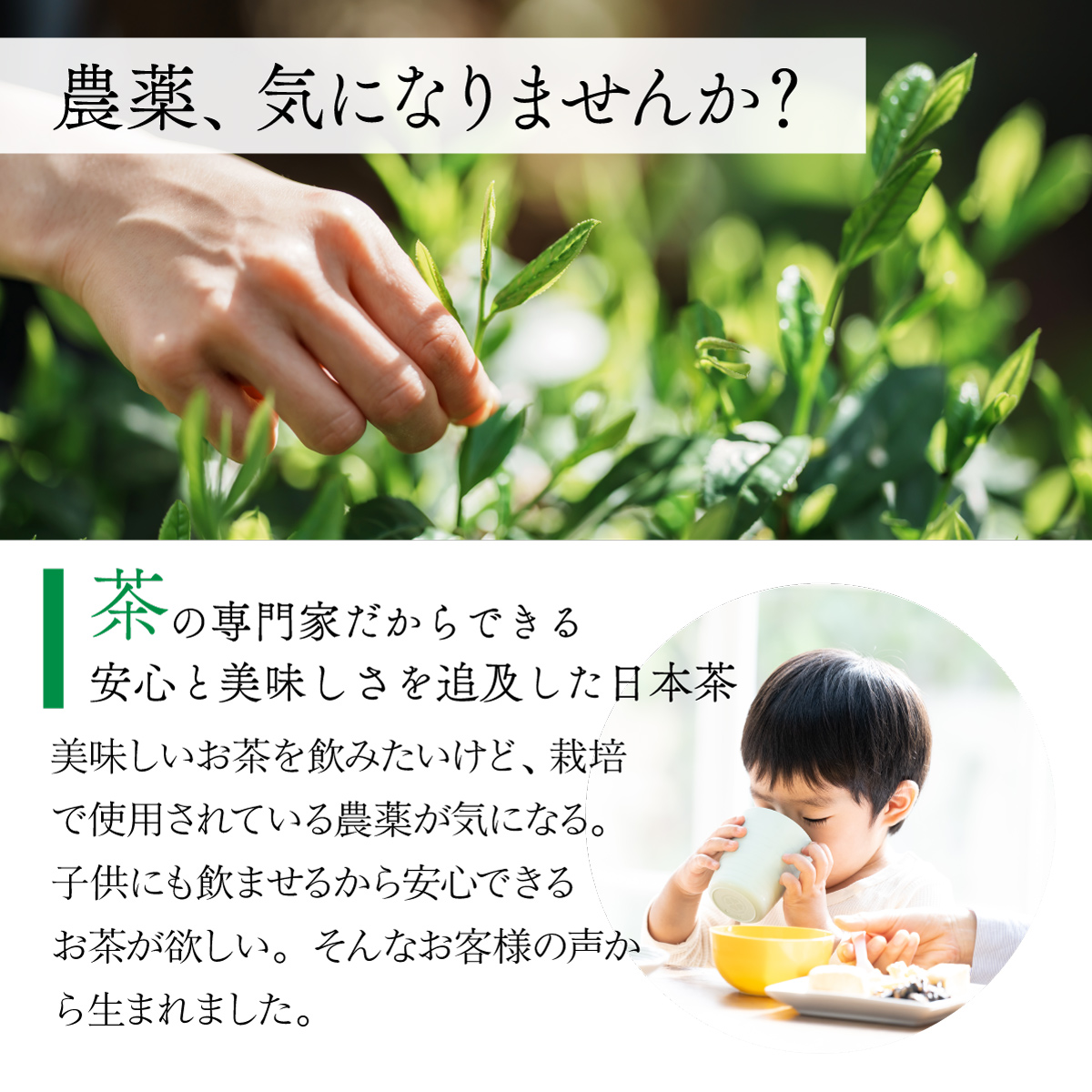 オーガニック ティーバッグ <抹茶入緑茶／ほうじ茶／抹茶入玄米茶> (2.5g×100包)