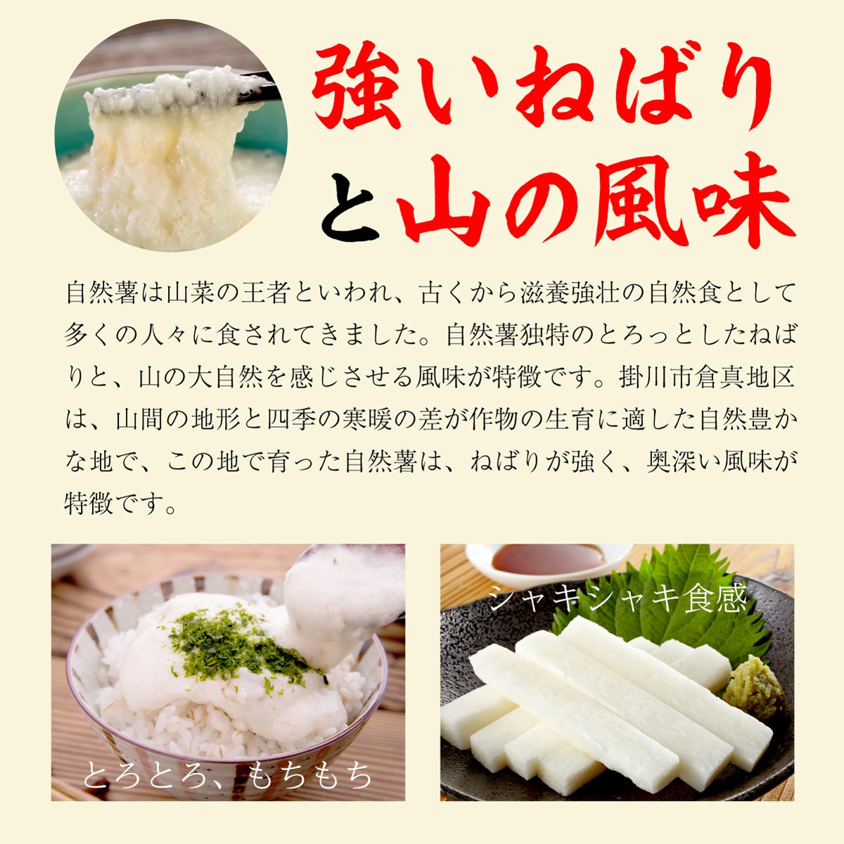 【ご予約承り中】自然薯 (約1kg)