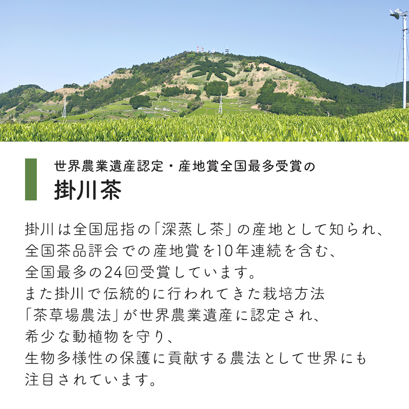 お徳用 抹茶入り深蒸し茶 ティーバッグ (2.5g×100包)