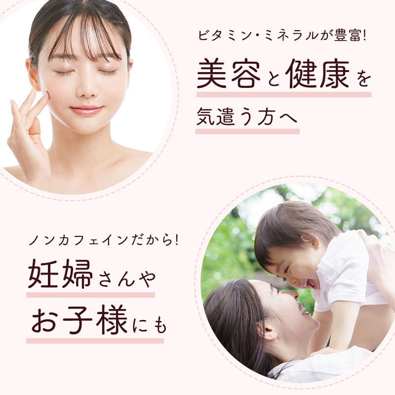お徳用 オーガニックルイボスティー ティーバッグ (3g×100包)